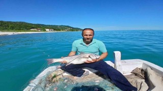 Türkelide nadir görülen kötek balığı avlandı