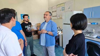 Türkiye ve Japonyadan kene tehdidine karşı ortak mücadele
