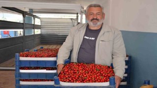 Türkiyenin en erken kiraz yetişen ikinci ili olan Bilecikte bu yıl rekolte yüzleri güldürdü