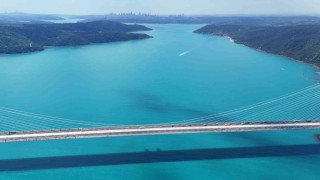 Turkuaza dönen İstanbul boğazında yunuslar akın etti