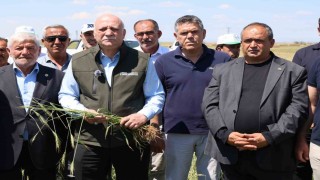 TZOB Genel Başkanı Bayraktar: Son 150 yılın en önemli yağışlarını aldık