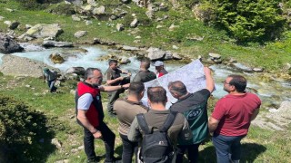 Uludağın eteklerinde ahududu ve böğürtlen için sulama projesi