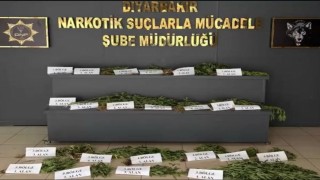 UNESCO Dünya Mirası Listesindeki Hevsel Bahçelerinde uyuşturucu ele geçirildi