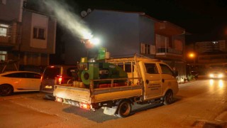 Uşak Belediyesinden vektörle mücadele seferberliği