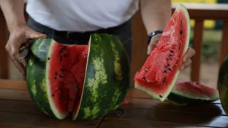 Uzmanından iyi karpuz ‘Nasıl seçilir tavsiyesi: Karpuza vurmak eskide kaldı