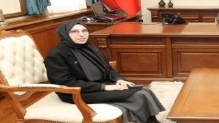 Vali yardımcıları ve kaymakamlar kararnamesi yayınlandı
