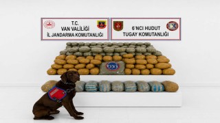 Vanda 291 kilogram toz esrar ele geçirildi