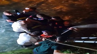 Vanda dereye düşen kamyonetin sürücüsü yaralandı