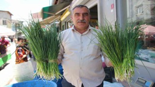 Vanda karların geç erimesi şifalı otların tezgah ömrünü uzattı