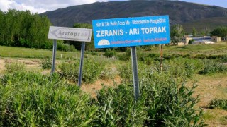 Vanda kuduz alarmı