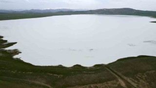 Vanın kuş cenneti Akgöl misafirlerini bekliyor