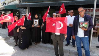 Vanlı ailelerin evlat nöbeti 120nci haftasında sürüyor
