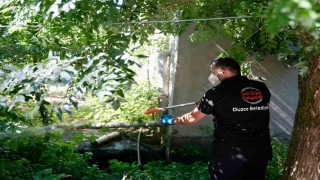 Vatandaşlara, Asya Kaplan sivrisineği uyarısı