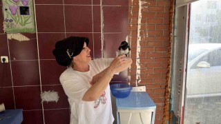 Yaralı bulduğu yavru saksağan kahvaltı arkadaşı oldu
