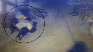 Yaşlı çifti öldürdükten sonra atla kaçan sanığa iki kere ağırlaştırılmış müebbet