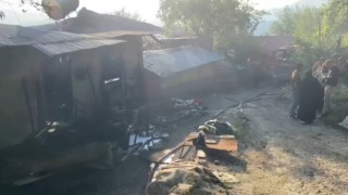 Yayla evinden ormana sıçrayan yangın söndürüldü