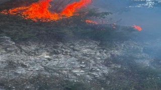Yayladağında ormanlık alanda çıkan yangın kontrol altına alındı