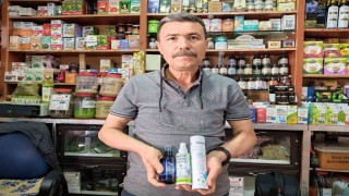 Yaz sıcaklarında haşerelerden korunmanın doğal yolları aktarlarda