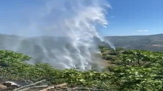 Yemek ısıtmak için yaktığı ateş incir bahçesini kül etti