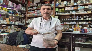 Zayıflamak isteyenlerin yeni gözdesi karnıyarık otu tohumu oldu