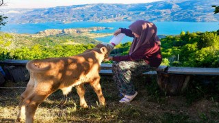 Zehranın hayvan sevgisi sosyal medyada ilgi odağı oldu