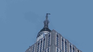 ABDdeki Empire State binasında tehlikeli evlilik teklifi: Rus çift gözaltına alındı