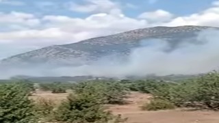Acıpayam'daki orman yangını kontrol altına alındı