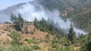 Adanada orman yangını