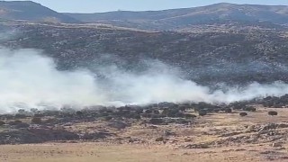 Adıyamanda ormanlık alanda yangın