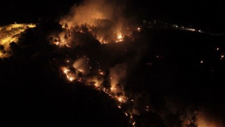 Adıyamandaki orman yangınıyla ilgili bir şahıs tutuklandı