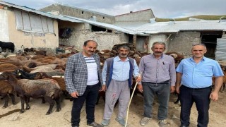 Ağrılı çiftçilere müjde: Yetiştiricilere yüzde 50 hibeli makine ve uygun fiyatlı hayvan ilaçları desteği