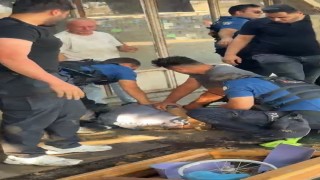 Akli dengesi yerinde olmadığı öğrenilen şahıstan yarım milyon liraya yakın nakit çıktı