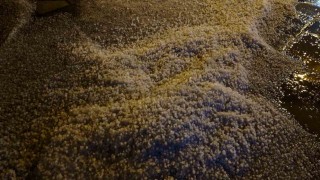 Alacada sağanak doluya dönüştü, cadde ve sokaklar beyaza büründü