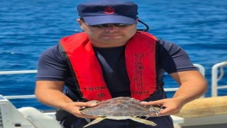 Alanya'da Çuvala Dolanan Caretta Caretta Tur Teknesi Kaptanı Tarafından Kurtarıldı