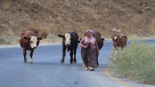 Alevlerden kaçtılar, hayvanlarını ve kendi canlarını zor kurtardılar