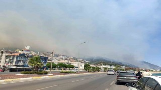Altınoluktaki orman yangınıyla ilgili Balıkesir Valisinden açıklama