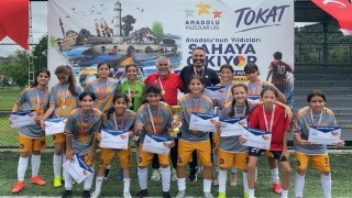 ANALİG'de grup birincisi olan Erzincan şampiyonaya katılacak
