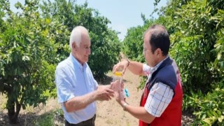 Andırın'da faydalı böcek ile doğal mücadele