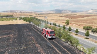 Anız yangını ağaçlık alana sıçramadan söndürüldü