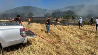 Anız yangını ormanlık alana sıçramadan söndürüldü
