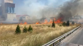 Anız yangını trafikte aksamaya neden oldu