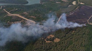 Anızdan ormana sıçrayan yangın dron ile görüntülendi