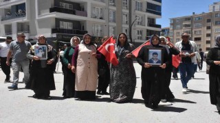 Anne Nazlı Sancar: İki haftanın içinde iki evladımız geldi