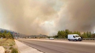 Antalyada orman yangını