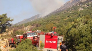 Antalya’da Orman Yangını: Büyükşehir Belediyesi Ekipleri Sahada
