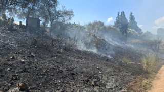 Antalya’da Yol Kenarında Çıkan Yangın Evlere Sıçramadan Söndürüldü