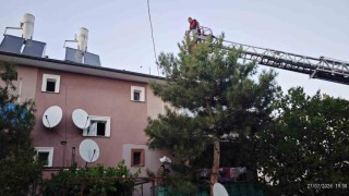 Apartman çatısında mahsur kalan kedi itfaiye ekiplerince kurtarıldı