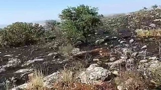 Arabanda fıstıklık ve otluk alanda yangın