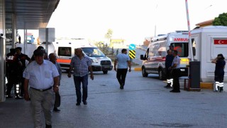 Arı sokmasına bağlı ciddi alerjik reaksiyonlar ölüme sebep olabilir