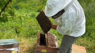 Artvinde bal hasat sezonu öncesi üreticilerle buluşma